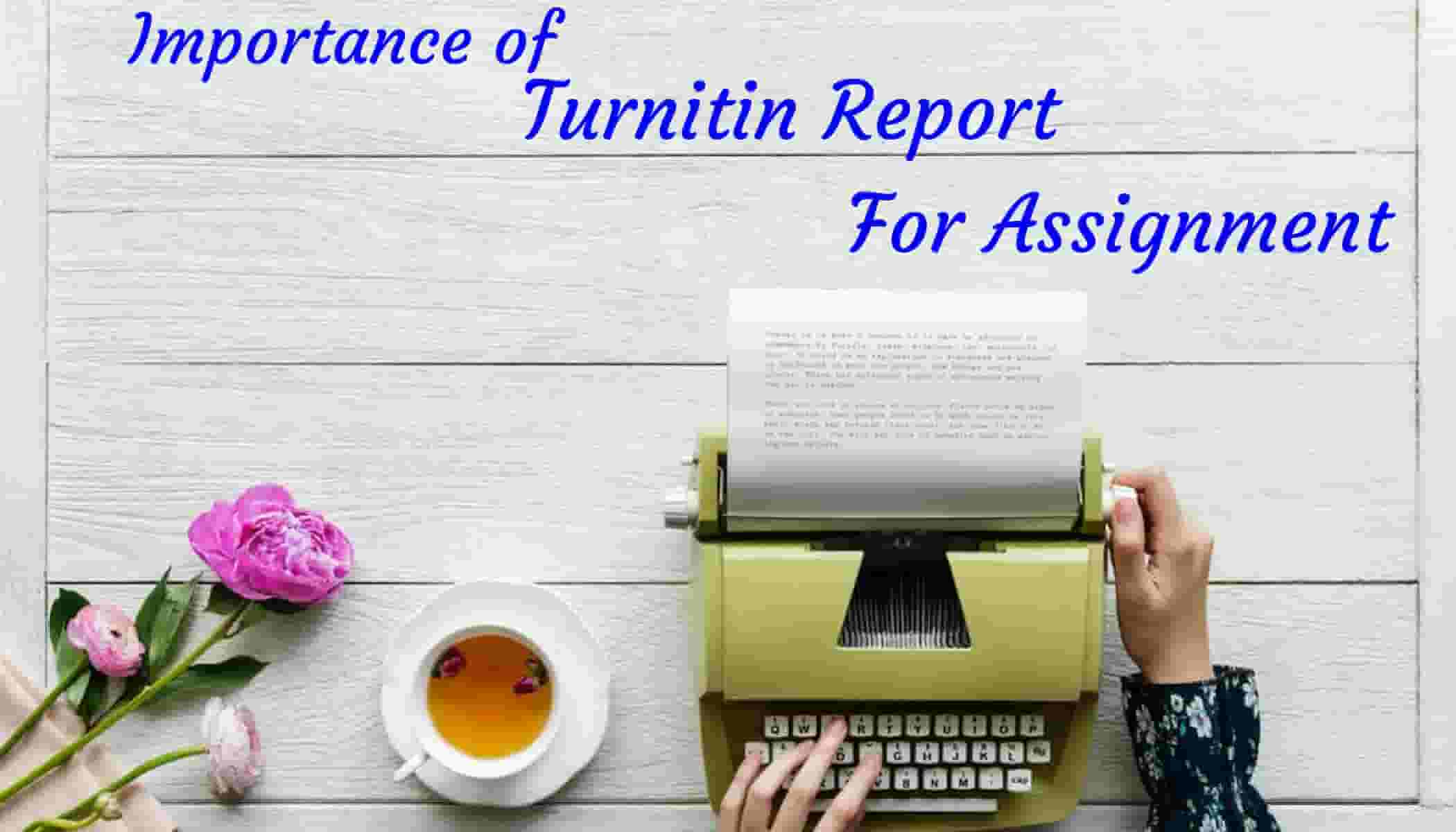 turnitin group assignment